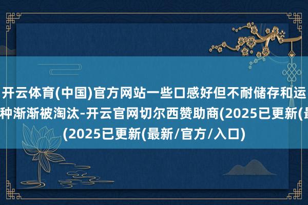 开云体育(中国)官方网站一些口感好但不耐储存和运载的传统番茄品种渐渐被淘汰-开云官网切尔西赞助商(2025已更新(最新/官方/入口)
