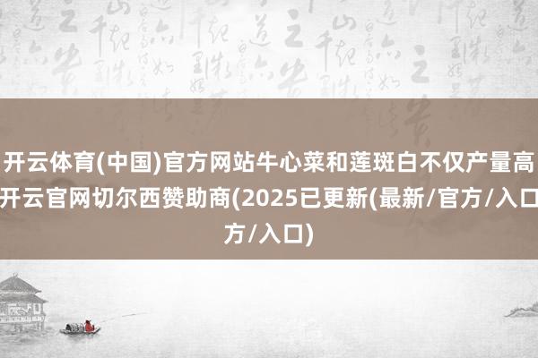 开云体育(中国)官方网站牛心菜和莲斑白不仅产量高-开云官网切尔西赞助商(2025已更新(最新/官方/入口)